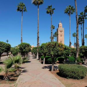 Transfer from Casablanca airport to Marrakech