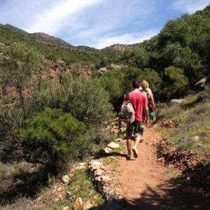 Paradise Valley trip from Taghazout