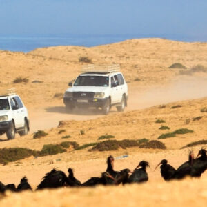 Small Desert tour from Taghazout