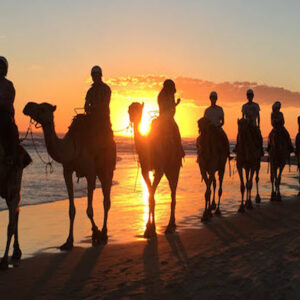Barbecue camel ride in Agadir